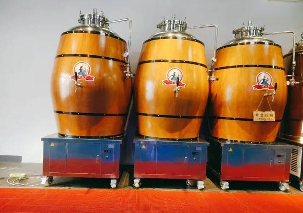 乐安餐饮啤酒酿造设备怎么选？开精酿酒吧别花冤枉钱